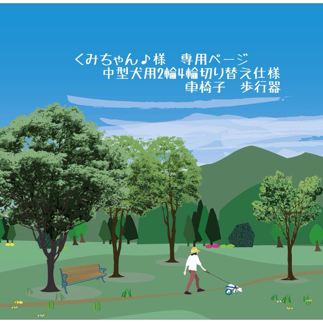 くみちゃん♪ページ　中型犬用2輪4輪切り替え仕様車椅子　歩行器