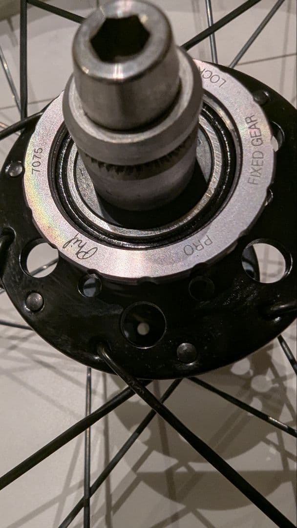 BROTURES SWELLx フィルウッドプロトラックSAPIM CX-RAY