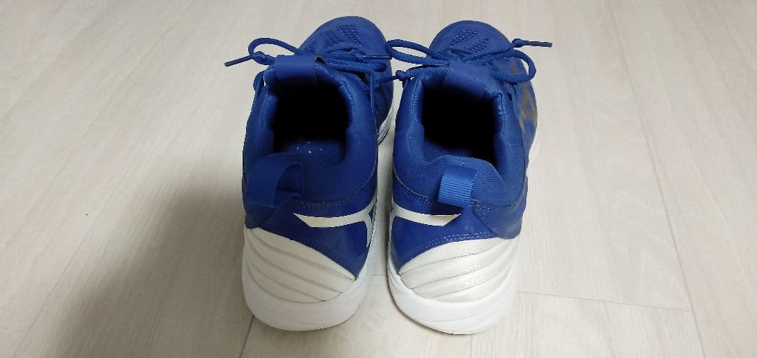 ミズノ バレーボールシューズウエーブモーメンタム