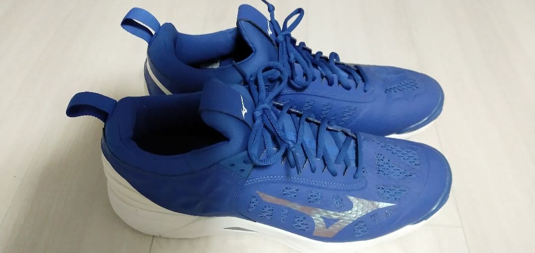 ミズノ バレーボールシューズウエーブモーメンタム