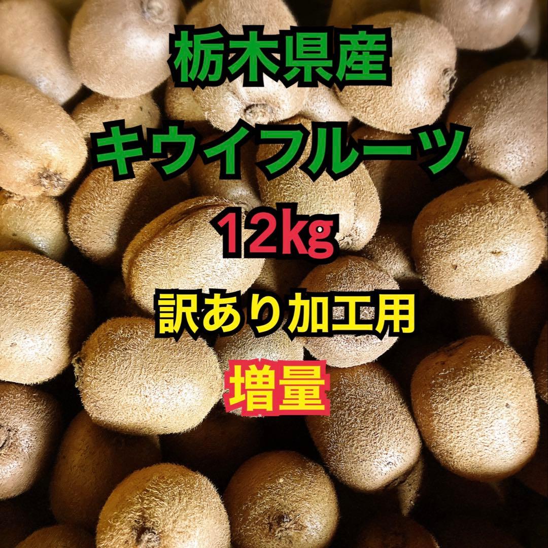 オーダー専用‼️ 14kg入り!! ５千円‼️ キウイフルーツお得箱‼️