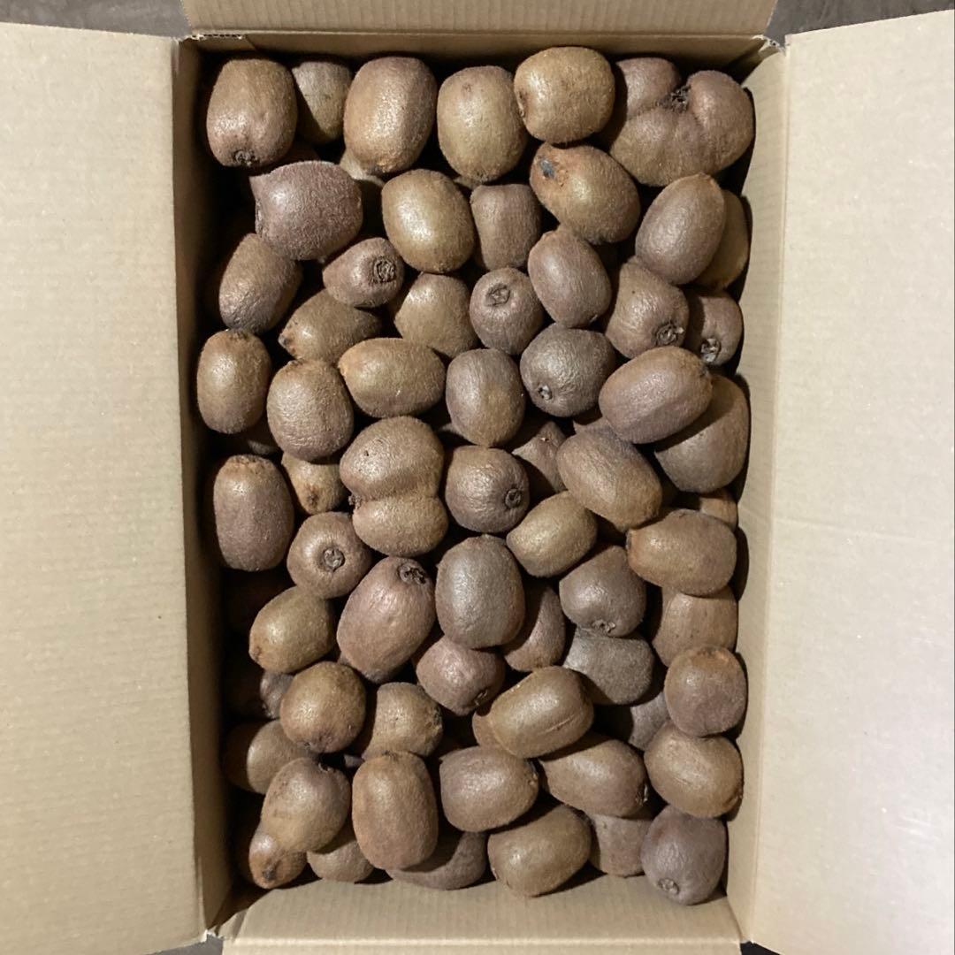 オーダー専用‼️ 14kg入り!! ５千円‼️ キウイフルーツお得箱‼️