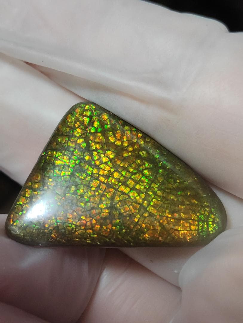 アンモライト　ルース　24-1413 19800