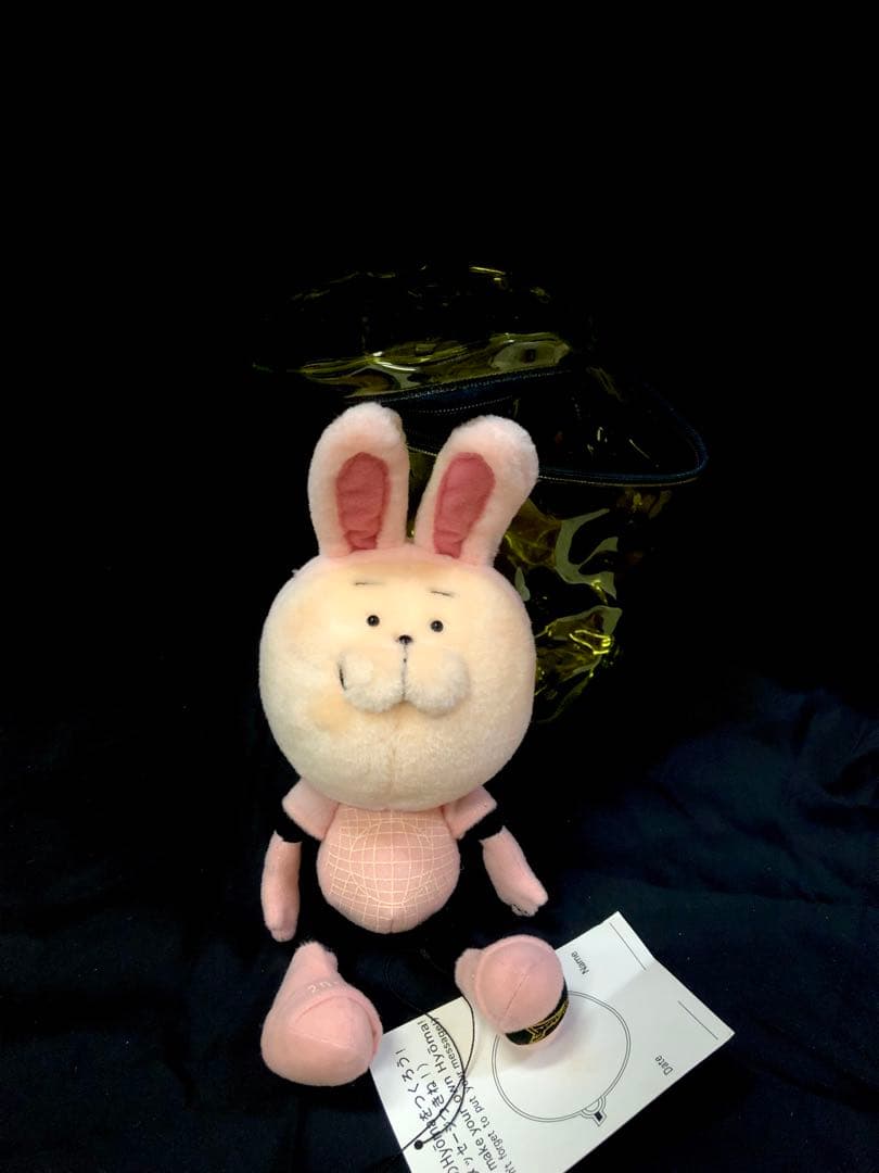 【新品激レア！入荷未定！】20471120ウサHyoma ぬいぐるみ旧タグ付き♪