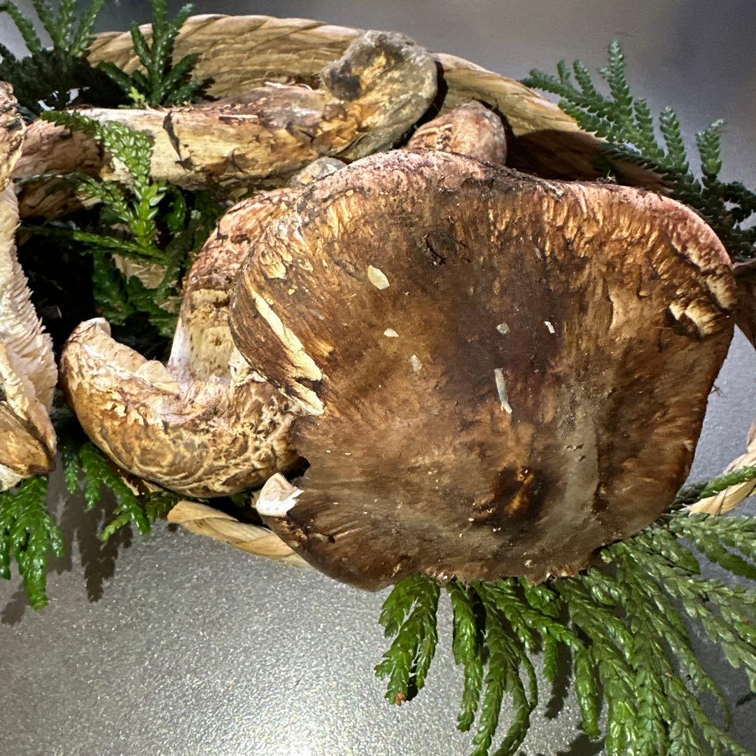 訳あり品‼️国産天然松茸‼️430g‼️