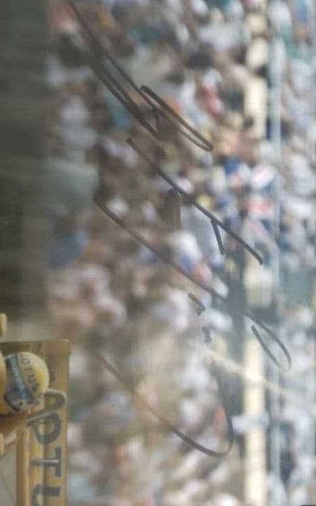 アイルトン・セナ　セナ　F1　直筆サイン　サイン　アイルトン・セナ・ダ・シルバ