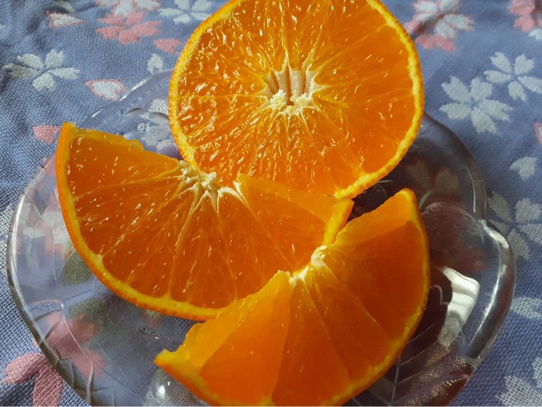 愛媛県中島産　愛果28号　B＋C品　20kg