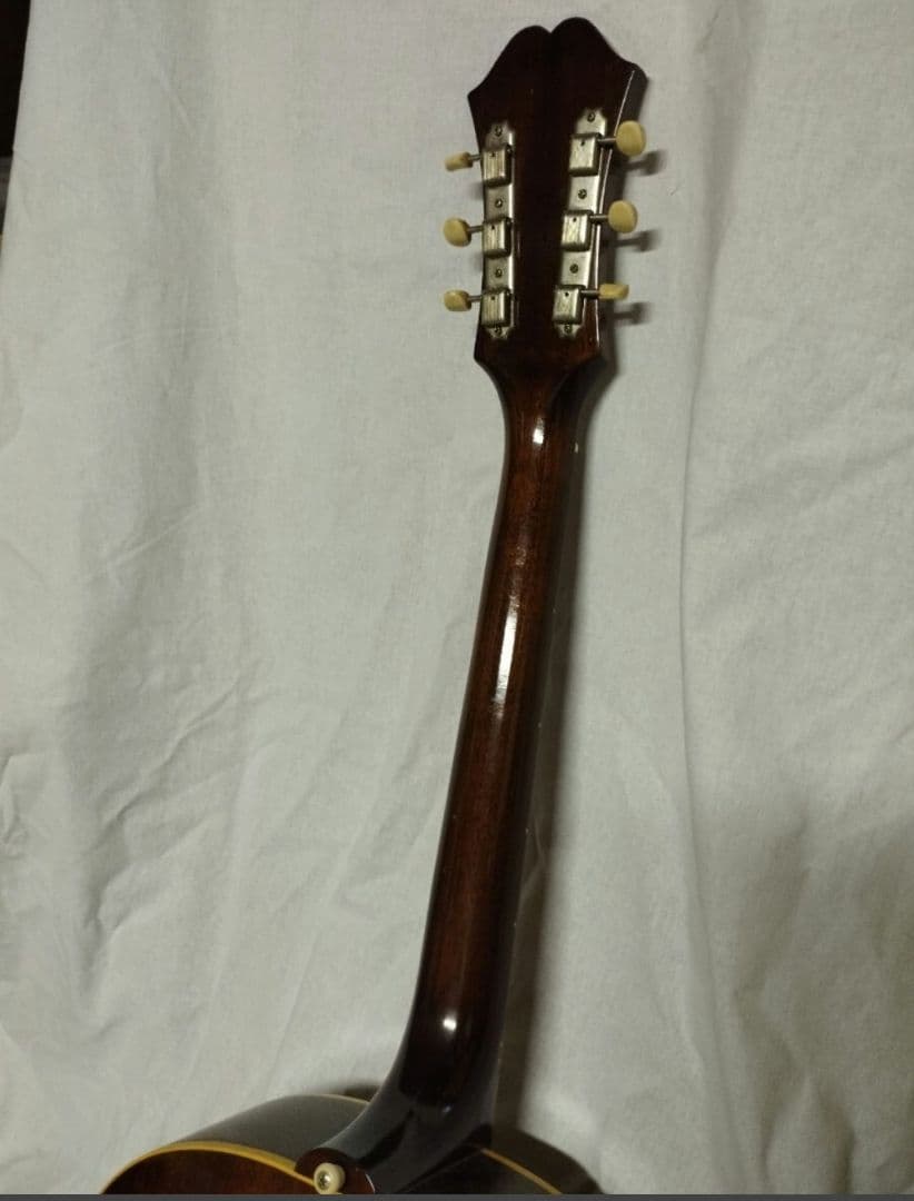 エピフォン　コルテッツ　アコースティックギター