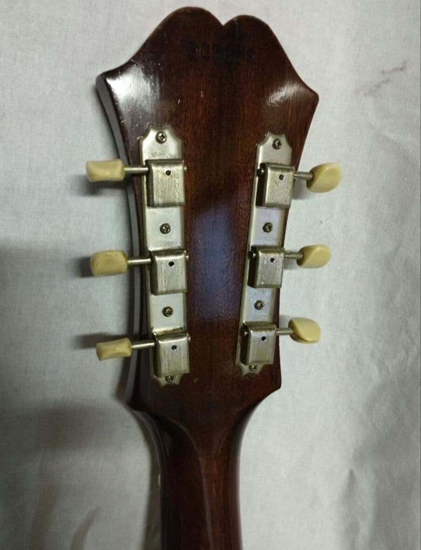 エピフォン　コルテッツ　アコースティックギター