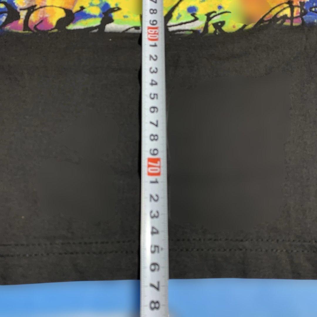 レニー　クラビッツ　ビンテージ　ライブ　Tシャツ