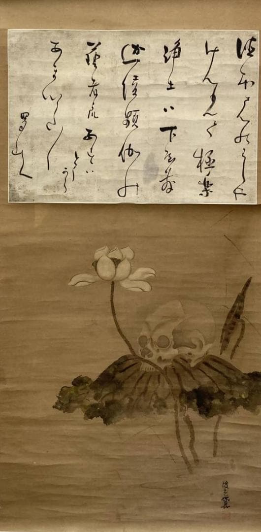 【ドクロ図】渡辺始興／【書】蜀山人 (貼り合わせ)／紙本　掛軸【髑髏／骸骨】