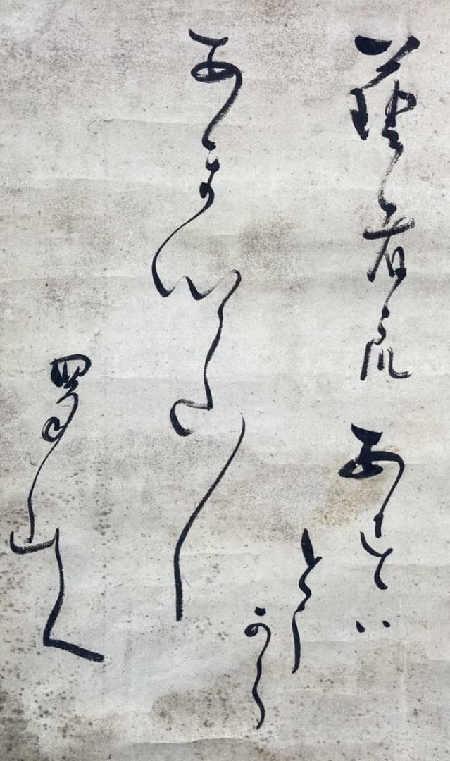 【ドクロ図】渡辺始興／【書】蜀山人 (貼り合わせ)／紙本　掛軸【髑髏／骸骨】