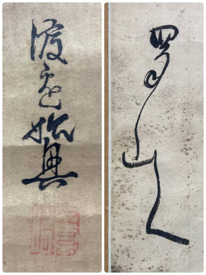 【ドクロ図】渡辺始興／【書】蜀山人 (貼り合わせ)／紙本　掛軸【髑髏／骸骨】