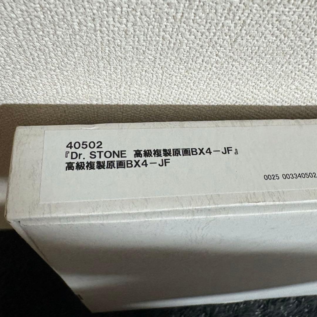 ✨ ドクターストーン ✨ 千空 ゼノ ジャンプフェスタ 2021 高級複製原画