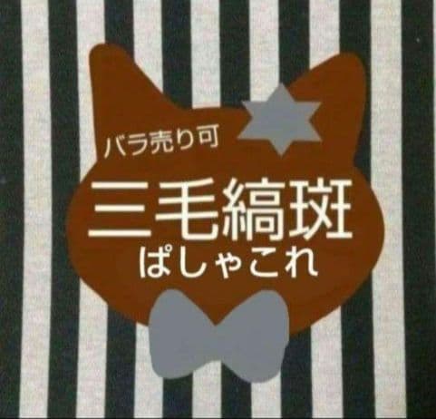 あんスタ 斑 ぱしゃこれ 中国 星幻 星燦 心動 3周年 4周年 5周年 恒常