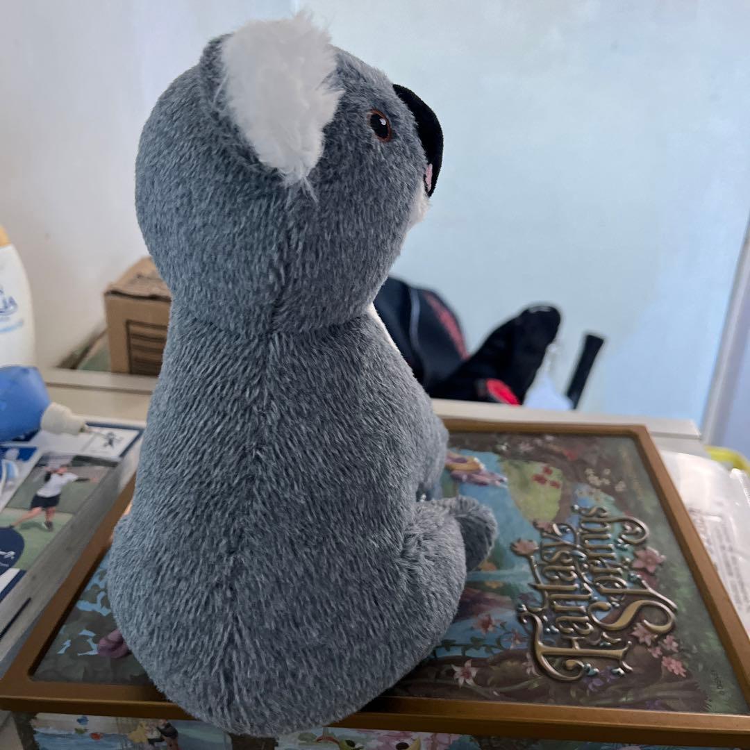 台湾コアラぬいぐるみ