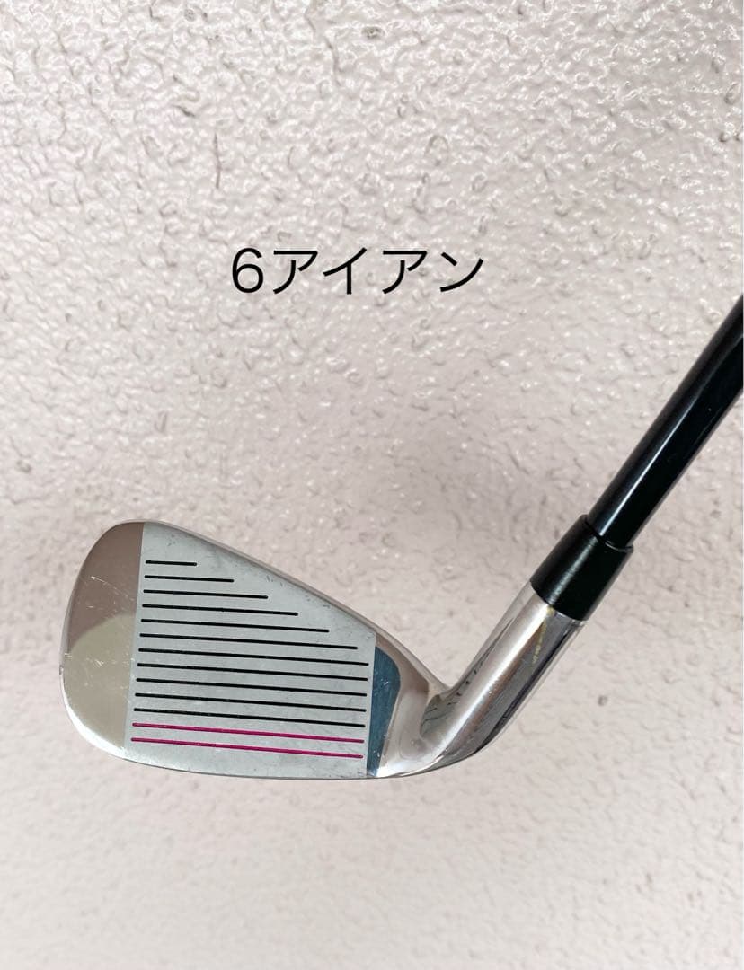 WORLD EAGLE ゴルフクラブセット 10本キャディバックレディース