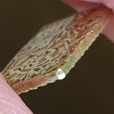 元文一分金　美品　一分金　一分判金