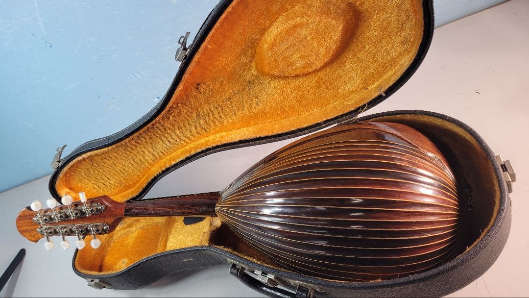 木製アーチトップ手工品マンドリン 8弦 ケース付き