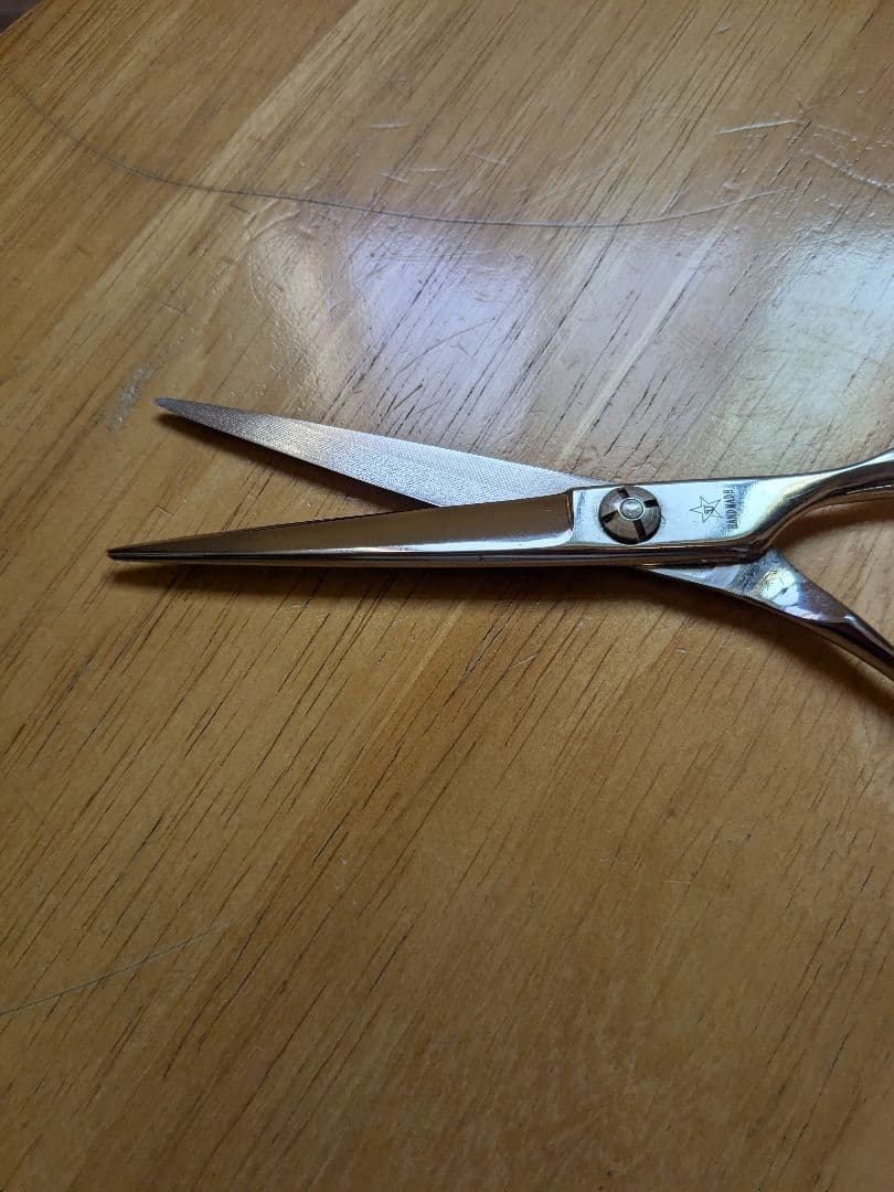 シザースジャパン・６インチ・ベアリング・定価10万・使用頻度少な目・