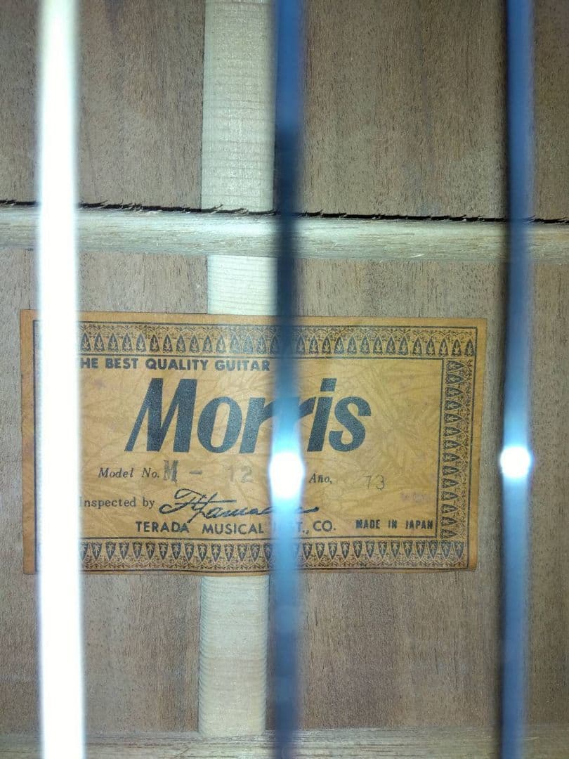 Morris M-12 アコースティックギター