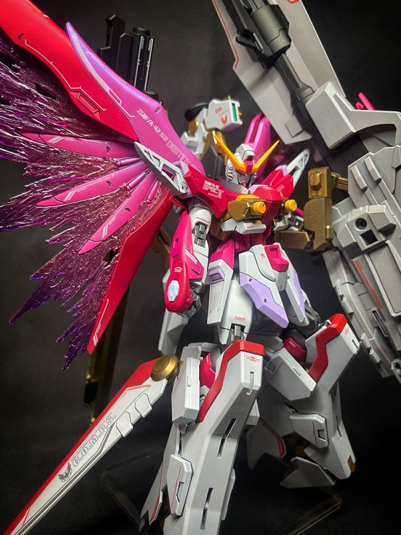 N*T様 ガンプラ完成品HG デスティニーガンダムspecⅡ & ゼウスシルエッ