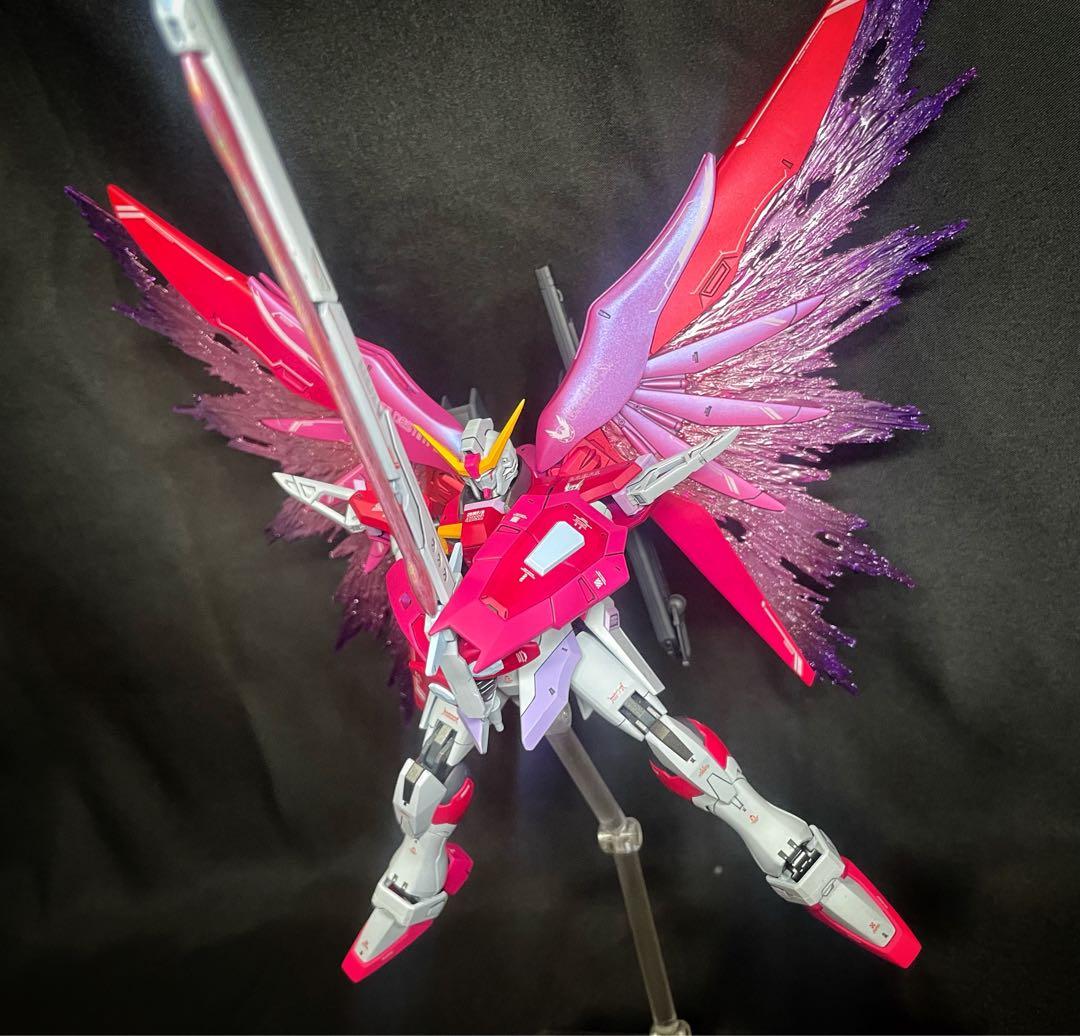 N*T様 ガンプラ完成品HG デスティニーガンダムspecⅡ & ゼウスシルエッ