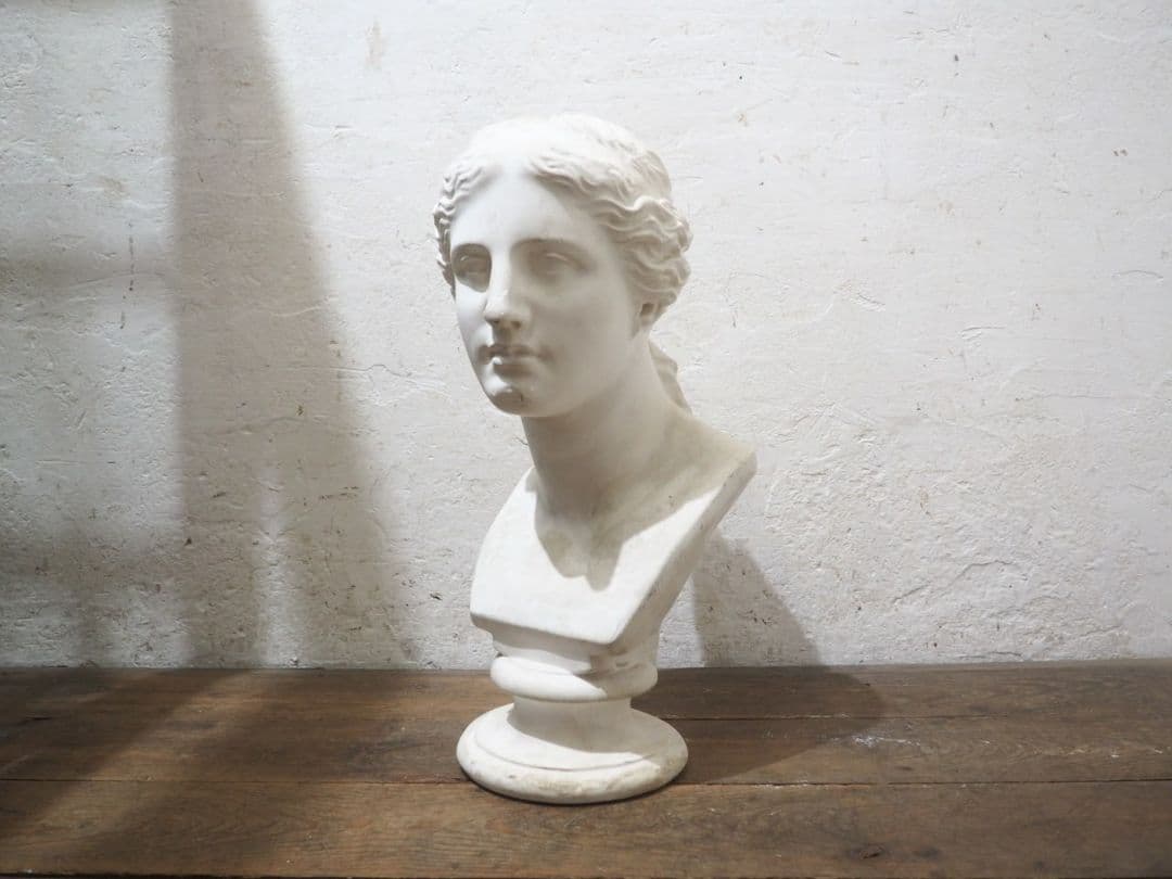 1228 石膏像　ミロのヴィーナス　胸像　オブジェ　デッサン　美術　インテリア