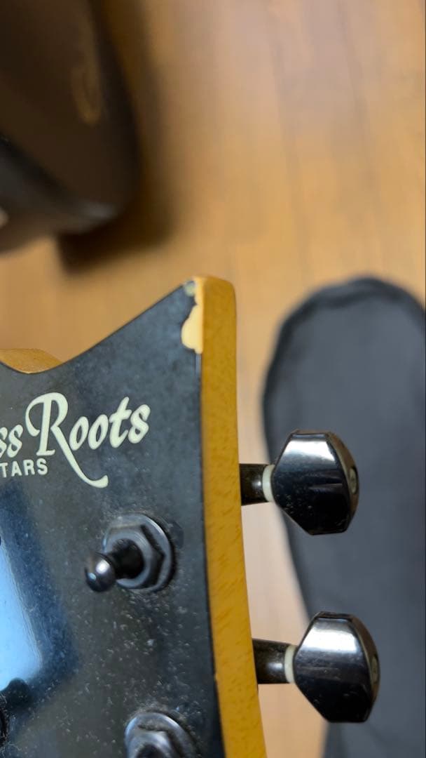 Grassroots ESP グラスルーツ　EC レスポール　ブラック