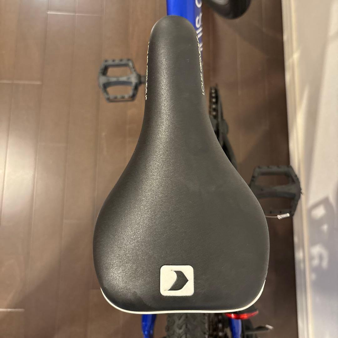 【Ken】キッズ　LOUIS GARNEAU ルイガノ　自転車　20インチ