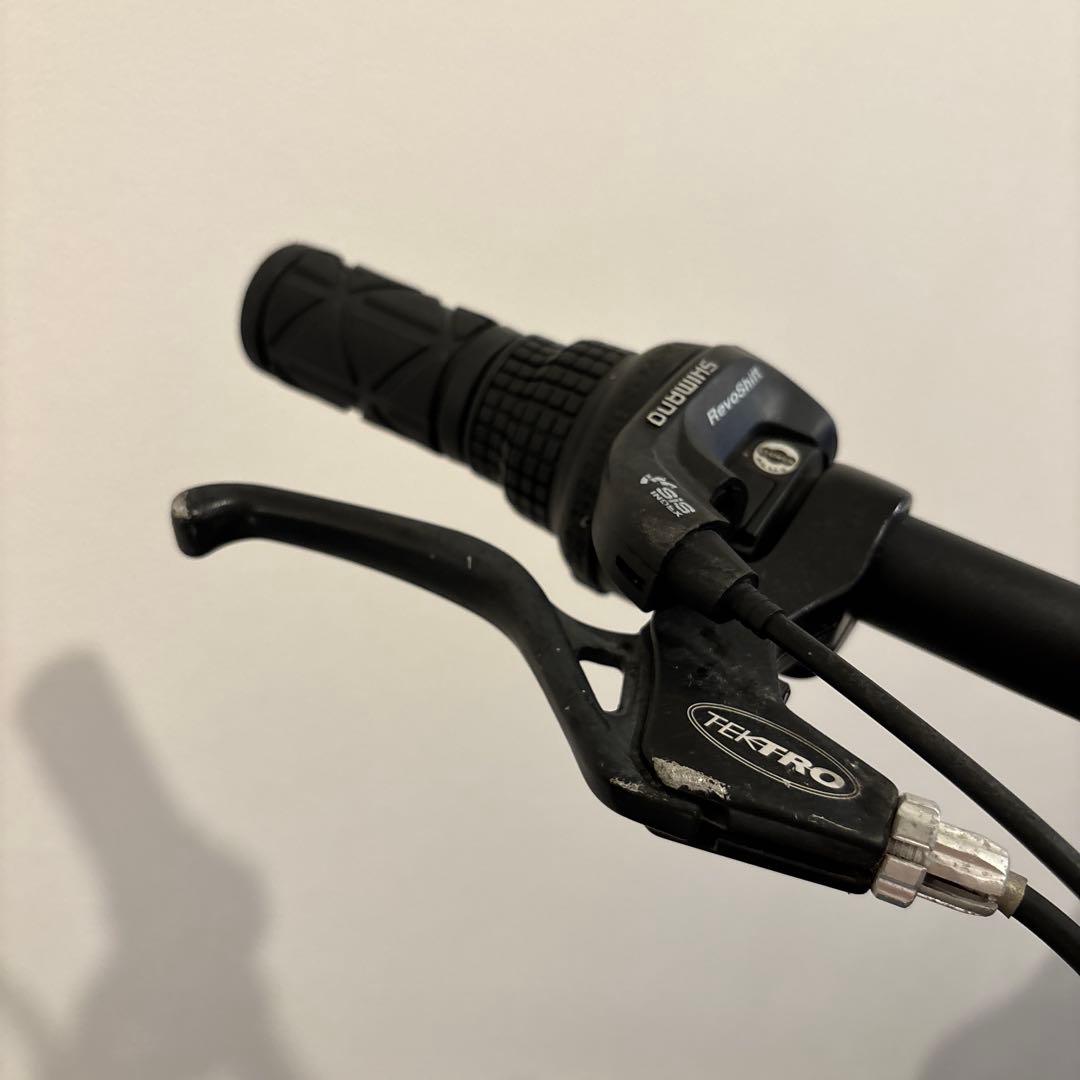 【Ken】キッズ　LOUIS GARNEAU ルイガノ　自転車　20インチ