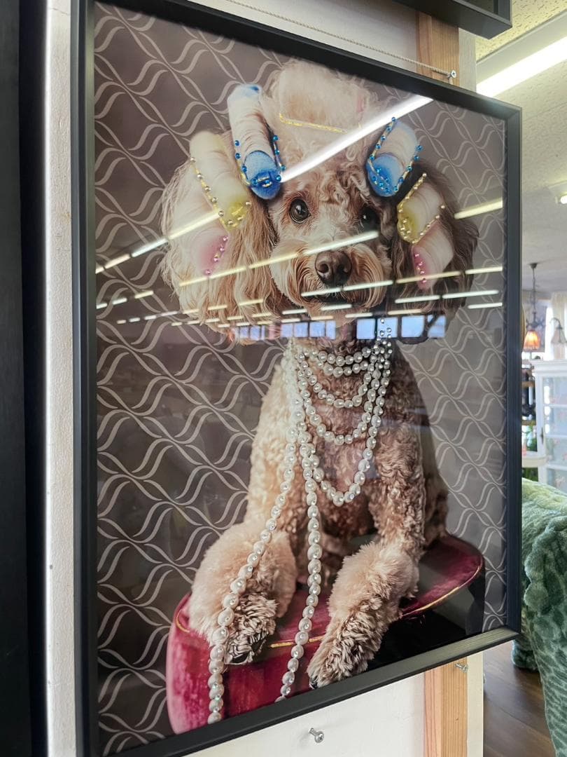 キラキラ　パネルアート　プードル　アート　絵画　絵　ポスター　壁掛け　額縁　犬