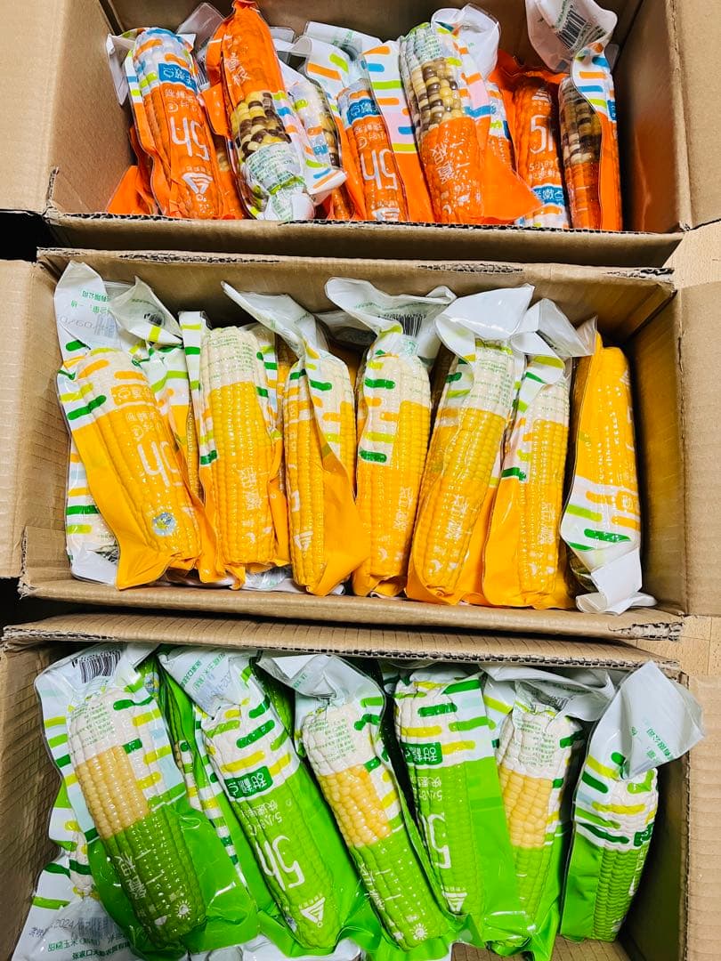 新入荷♪糯とうもろこし60本入セット【白糯20本と黄糯20本と彩糯20本】