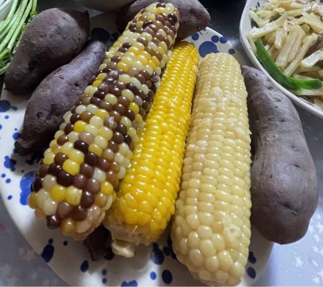 新入荷♪糯とうもろこし60本入セット【白糯20本と黄糯20本と彩糯20本】