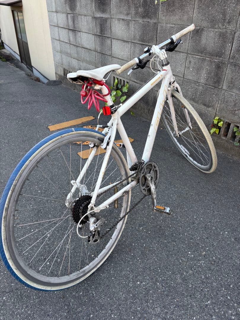 festival houseクロスバイク FUJI アブソルートs