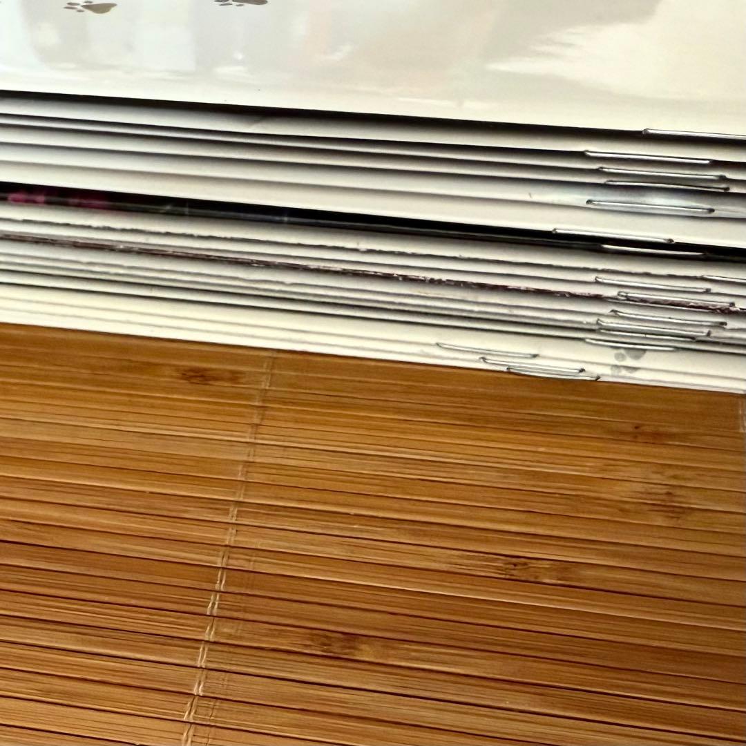 柴田淳ファンクラブ会報#1〜#20