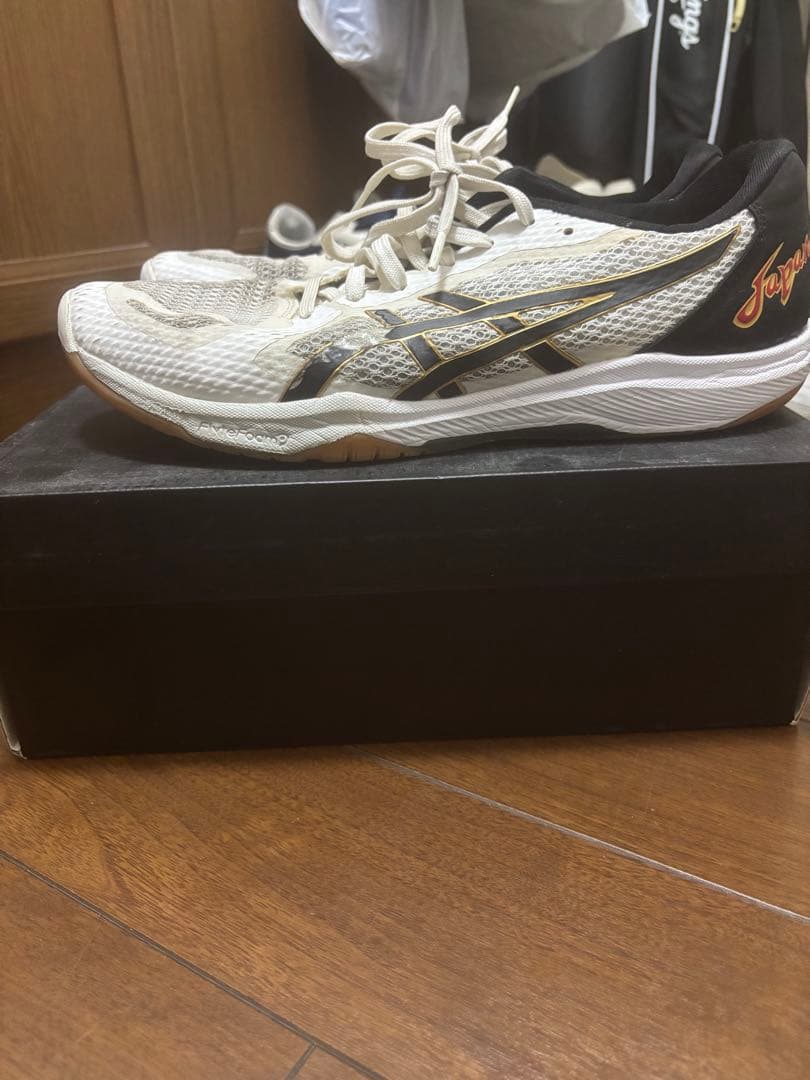 ASICS GEL-FASTBALL 26.5 ハイキュー月島モデル