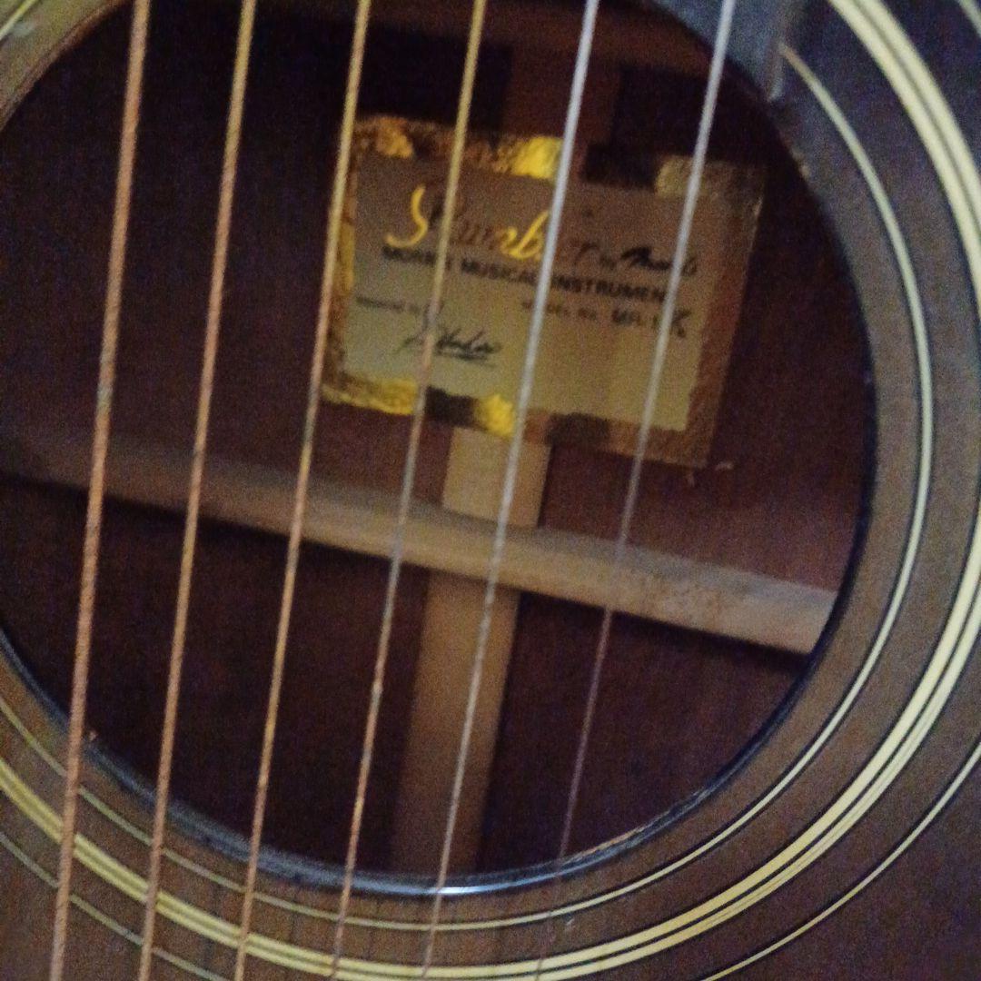 Rumbler by Morris　アコースティック　ギター　ケース