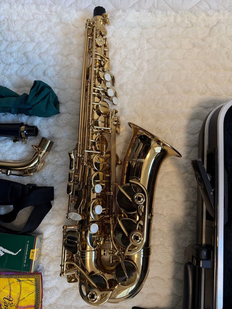 とても美品　アルトサックス アンティグア