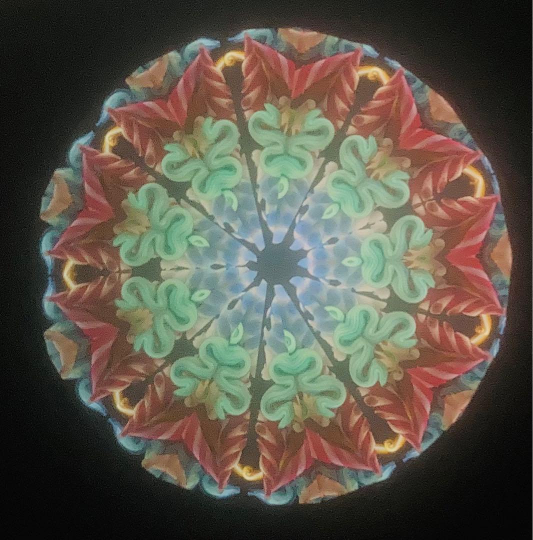 万華鏡　ルーク&サリー・デュレット夫妻　Bali Hai Botanicals