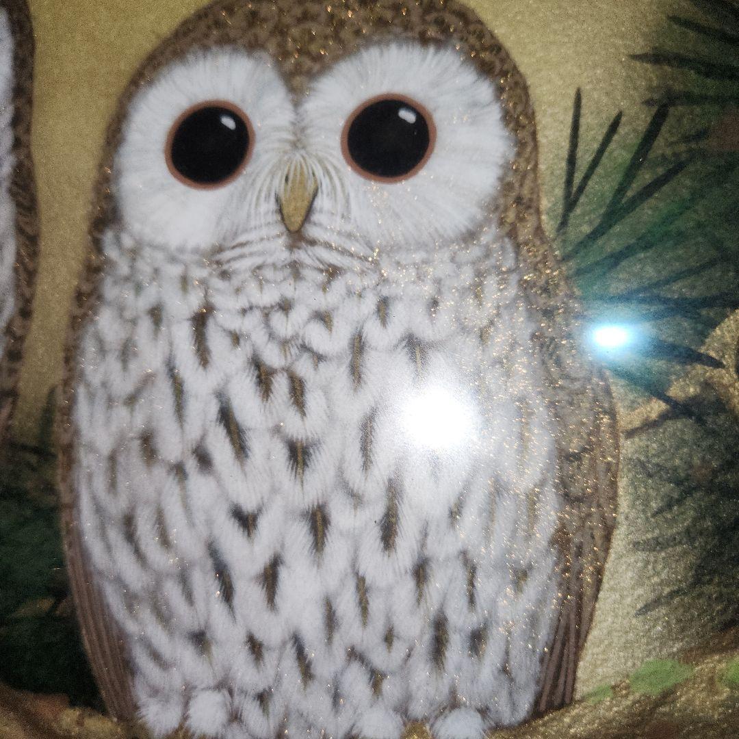 フクロウ　広森耕仁作　絵画