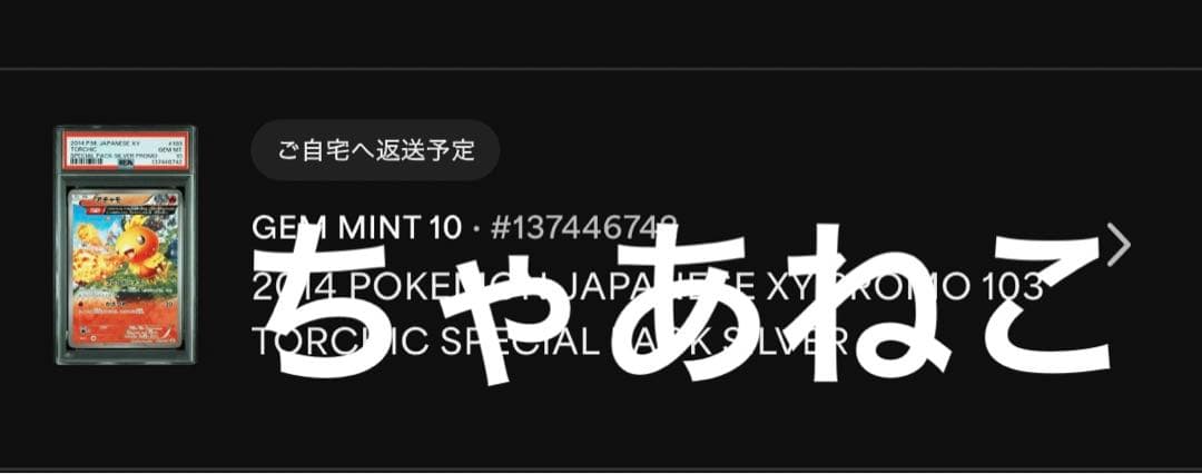 PSA10＊アチャモ XY PROMO 世界80枚 希少 Torchic