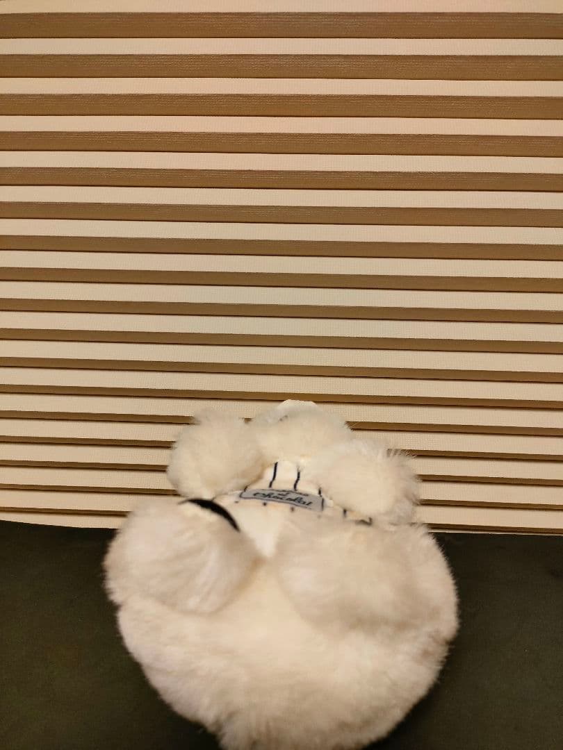 【プチサンボン】エリソンくん４種セット