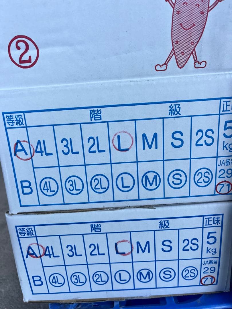 YU！大分県産　甘太くんA品Lサイズ　20キロ