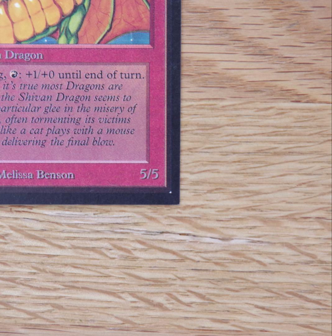 シヴ山のドラゴン Collectors' Edition ③