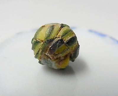 ★G2704★古代とんぼ玉 (A48) ローマ　美枯　ガラスビーズ　モザイク芯玉