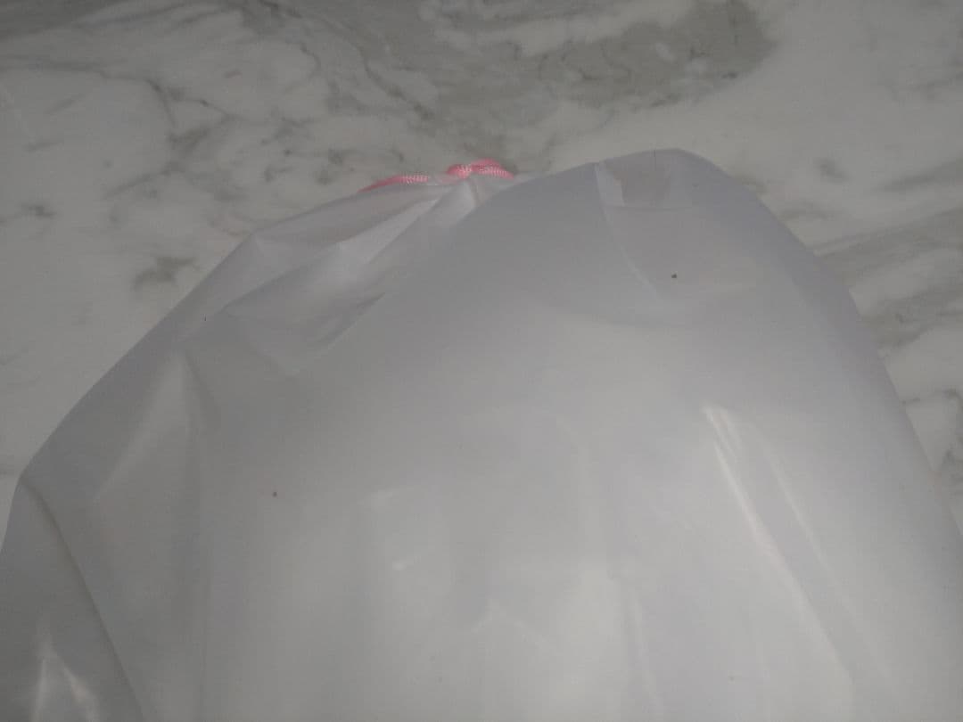 【中国限定】ブルーアーカイブ ekoru【ミカ】ぬいぐるみ