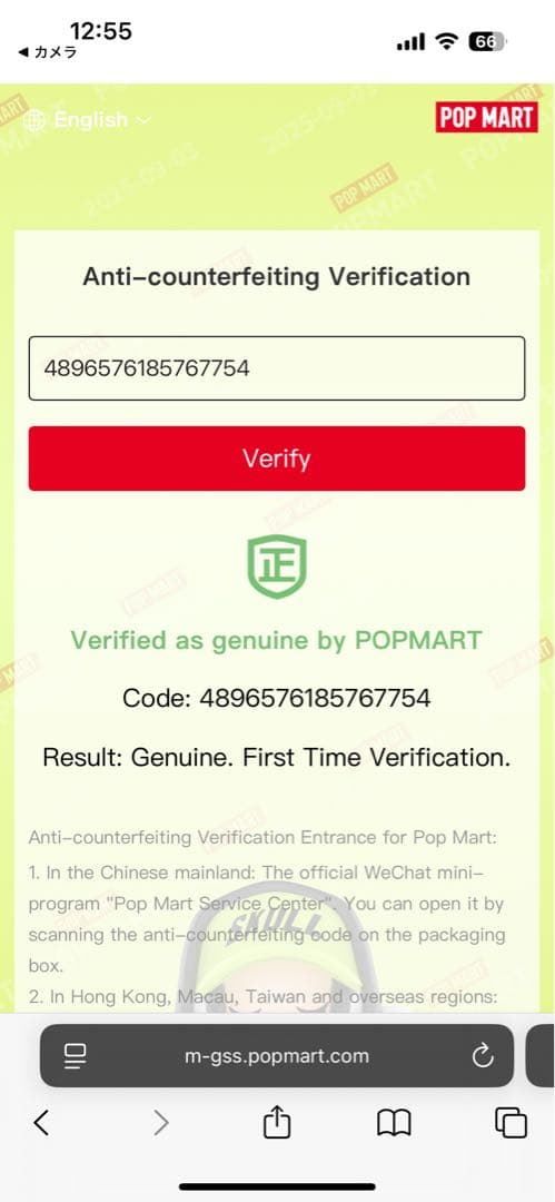 【新品】LABUBU Big into Energy シークレット　正規品ラブブ