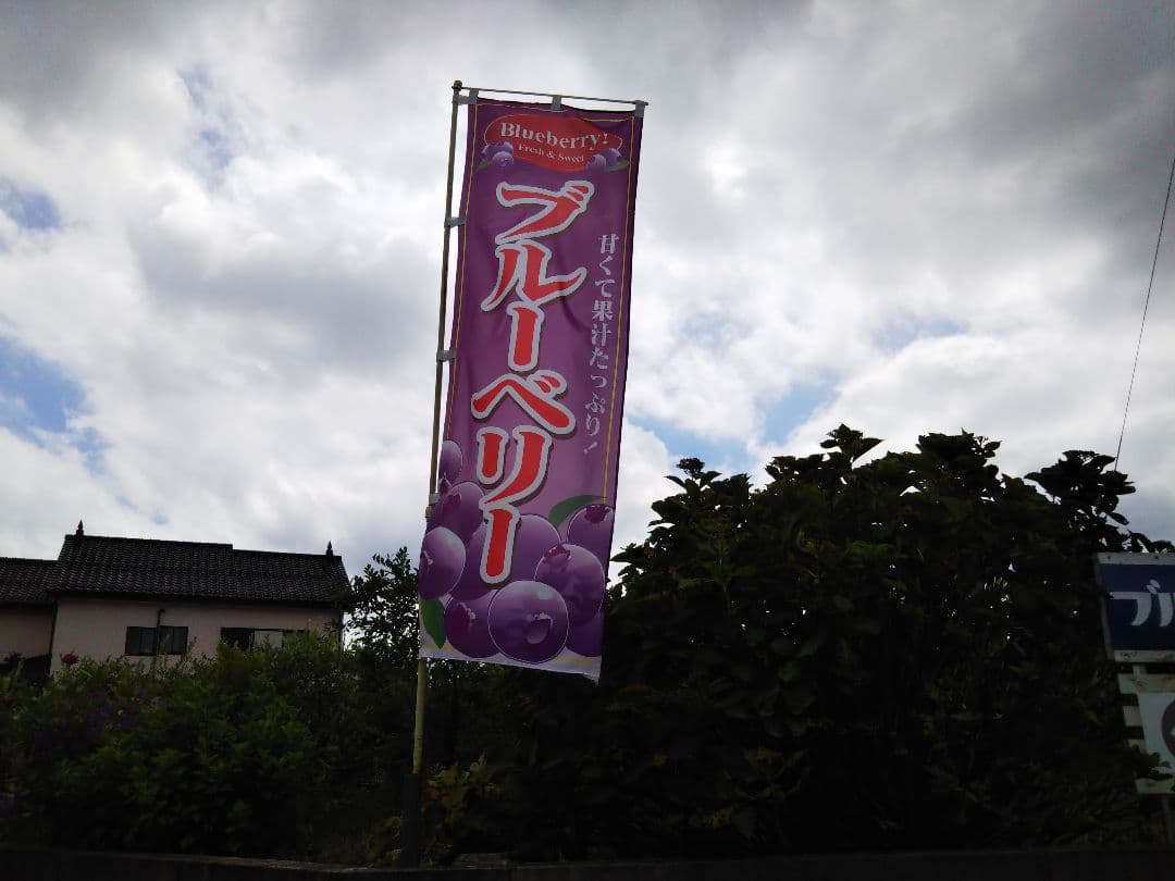 《訳あり》冷凍ブルーベリー５Kg　お買い得！！