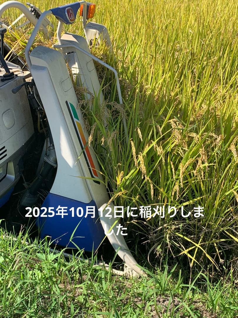 令和7年度産　新米　ヒノヒカリ玄米20kg(送料込)減農薬のお米